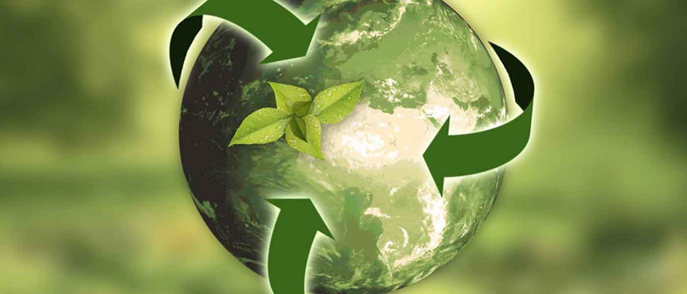 Sustainability in Logistics Industry